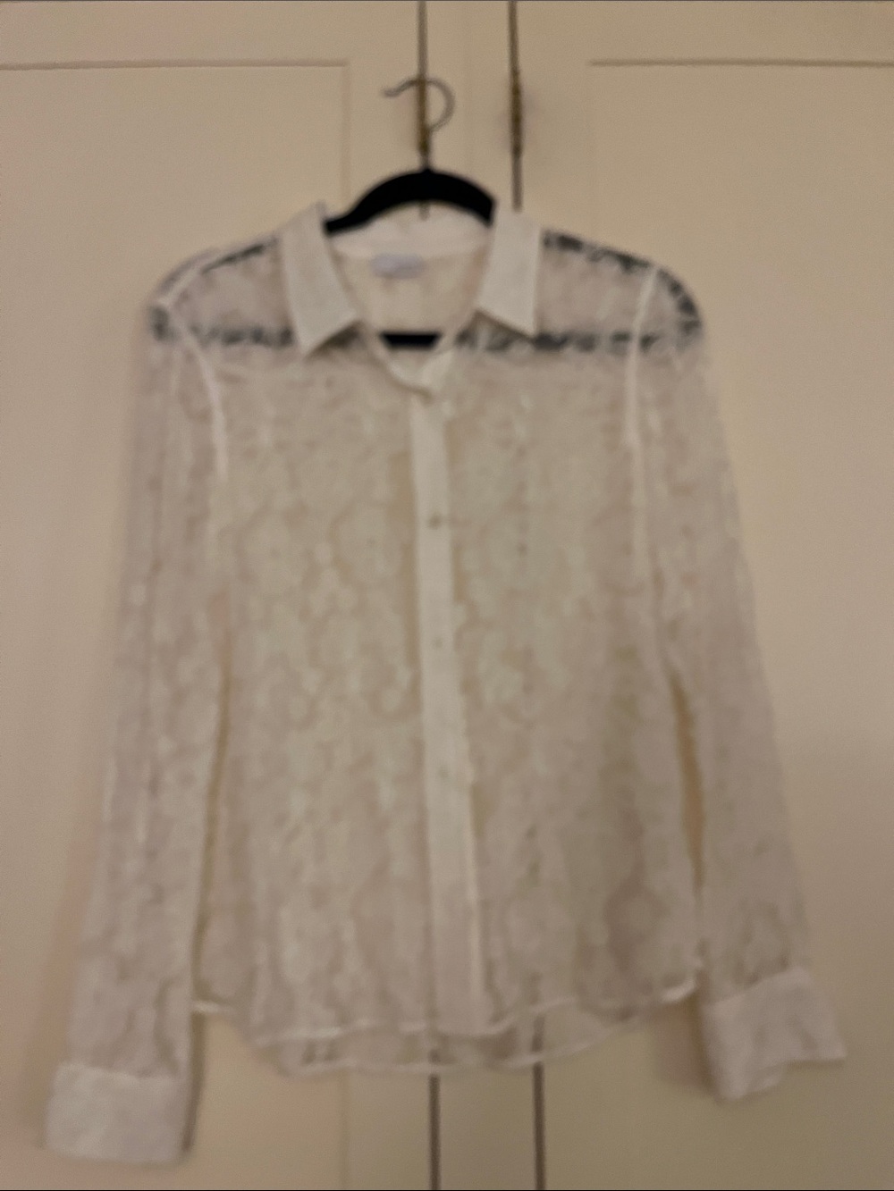 ECRU Sheer White Lace Button-Down Blouse size M